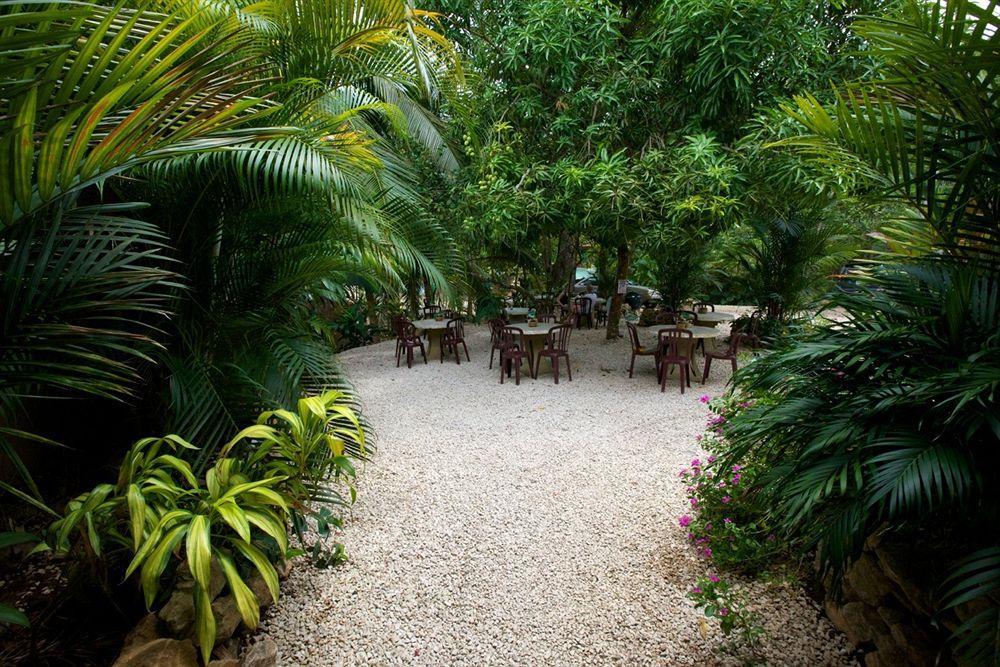 El Sano Banano Beachside Hotel Montezuma Dış mekan fotoğraf